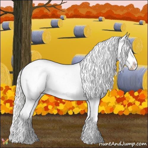 Horse Color:Cremello Appaloosa