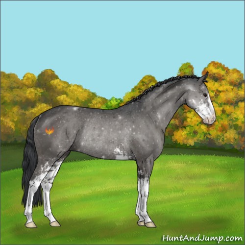 Horse Color:Grullo Sabino Rabicano