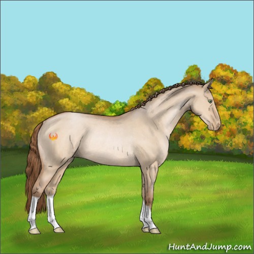 Horse Color:Brown Pearl Dun Rabicano 