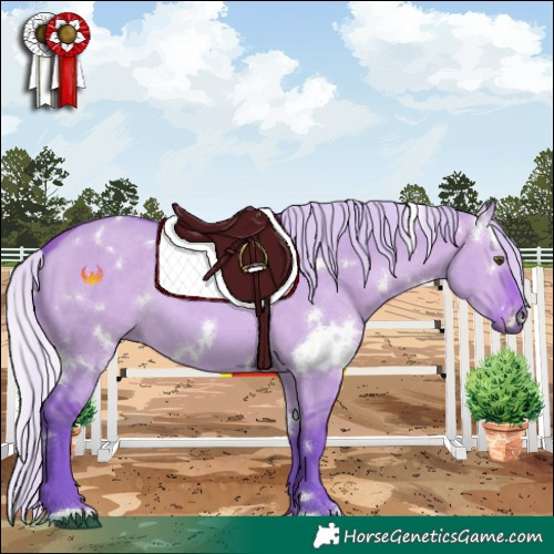 Horse Color:Watercolor White Spotted Silver Bay Dun Rabicano