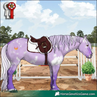 Horse Color:Watercolor White Spotted Silver Bay Dun Rabicano 