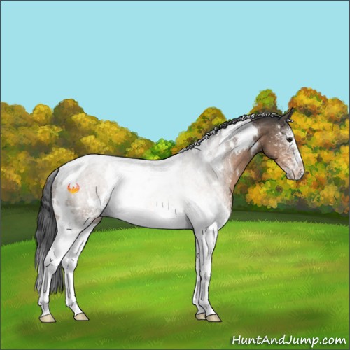 Horse Color:White Spotted Bay Dun Rabicano 