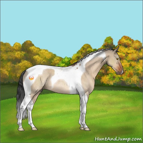 Horse Color:Brown Dun Tobiano Rabicano 