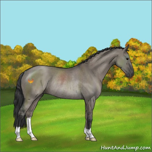 Horse Color:Grullo Rabicano 
