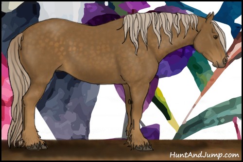 Horse Color:Chocolate Palomino 