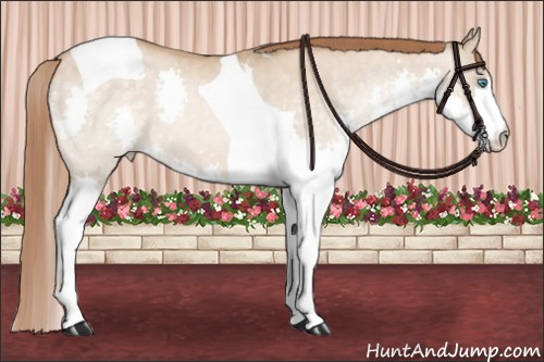 Horse Color:Buckskin Pearl Splash Tobiano 