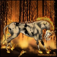 Horse Color:Void White Spotted Buckskin Roan Dun 