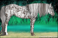 Horse Color:Liver Chestnut  and Gray Liver Chestnut 