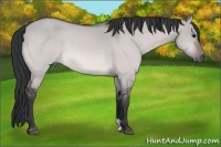 Horse Color:Platinum Bay Dun 