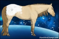 Horse Color:Buckskin Dun Appaloosa 