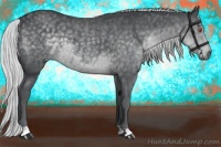 Horse Color:Silver Black Chinchilla 