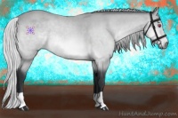 Horse Color:Silver Bay Chinchilla 