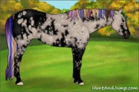 Horse Color:Void Painted White Spotted Silver Grullo Ice Sabino Appaloosa