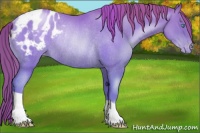 Horse Color:Chocolate Classic Champagne Pearl Appaloosa Rabicano