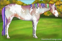 Horse Color:Painted Watercolor White Spotted Silver Bay Onyx Sabino Rabicano