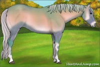 Horse Color:Watercolor Silver Blue Onyx Sabino