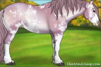 Horse Color:Watercolor Blue Onyx Pearl Sabino Rabicano