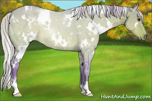 Horse Color:Watercolor White Spotted Silver Brown Dun Sabino 