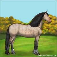Horse Color:Bay Dun and Bay Roan Dun
