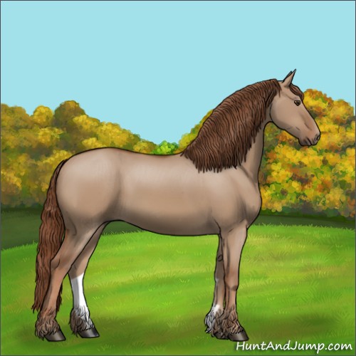 Horse Color:Red Dun 