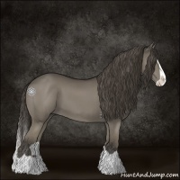 Horse Color:Smoky Grullo Splash 