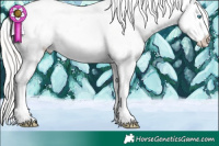 Horse Color:Silver Sable Cream Champagne Snowdrop Sabino Varnish Rabicano 