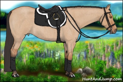 Horse Color:Bay Roan Dun