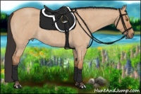 Horse Color:Bay Roan Dun 