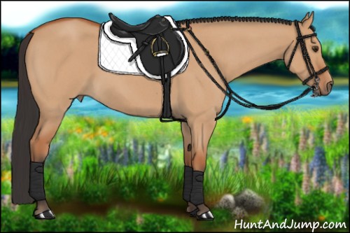 Horse Color:Bay Roan Dun 