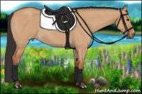 Horse Color:Bay Roan Dun 