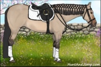 Horse Color:Bay Dun Tobiano 