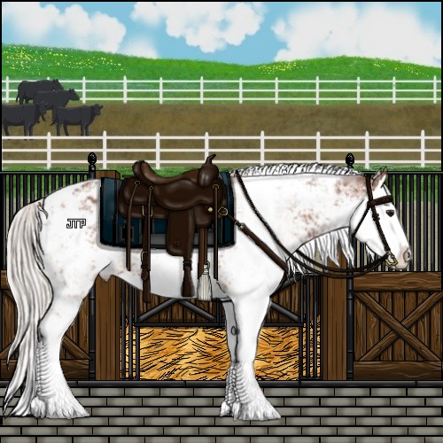 Horse Color:Silver Bay Sabino Splash Blanket 