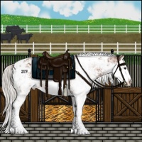 Horse Color:Silver Bay Sabino Splash Blanket 