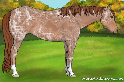 Horse Color:Chestnut Ice 