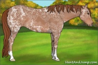 Horse Color:Chestnut Ice 