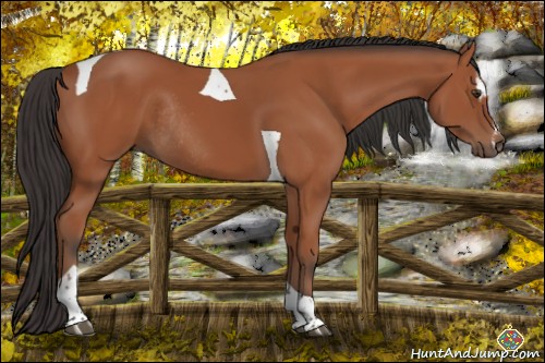 Horse Color:Bay Sabino Tobiano Rabicano