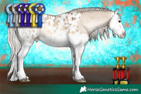Horse Color:Chocolate Silver Bay Onyx Splash Appaloosa 