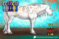 Horse Color:Chocolate Silver Bay Onyx Splash Appaloosa 