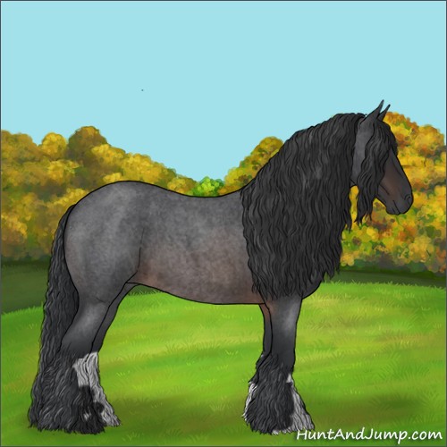Horse Color:Brown Roan