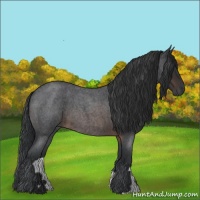 Horse Color:Brown Roan 