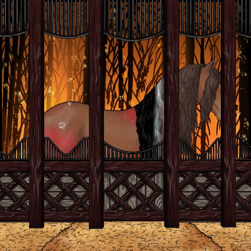 Horse Color:Bay Tobiano Appaloosa Rabicano 