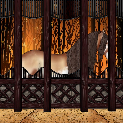 Horse Color:Bay Onyx Sabino Varnish