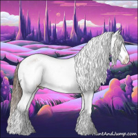 Horse Color:White Spotted Bay Appaloosa