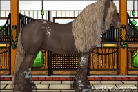 Horse Color:White Spotted Liver Chestnut 