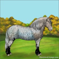 Horse Color:White Spotted Chocolate Palomino Ice Pearl Sabino Splash Appaloosa Rabicano 