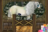 Horse Color:Palomino Pearl Sabino Appaloosa Rabicano