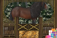 Horse Color:Bay Sabino Varnish Rabicano 