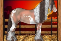 Horse Color:Classic Champagne Tobiano 