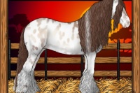 Horse Color:Classic Champagne Onyx Splash Near Leopard 