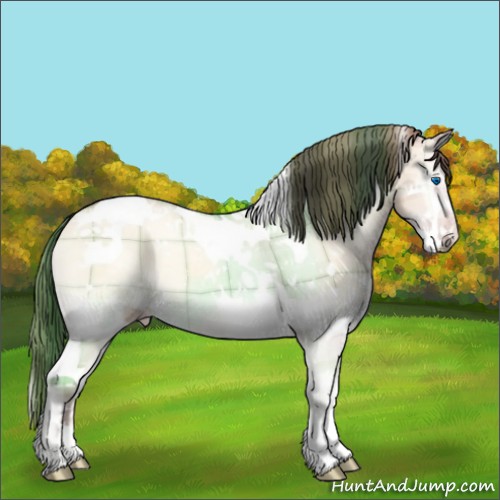Horse Color:Plaid  Amber Champagne Onyx Splash Tobiano 